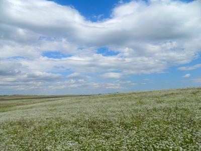 Прикрепленное изображение: DSCN4283.JPG